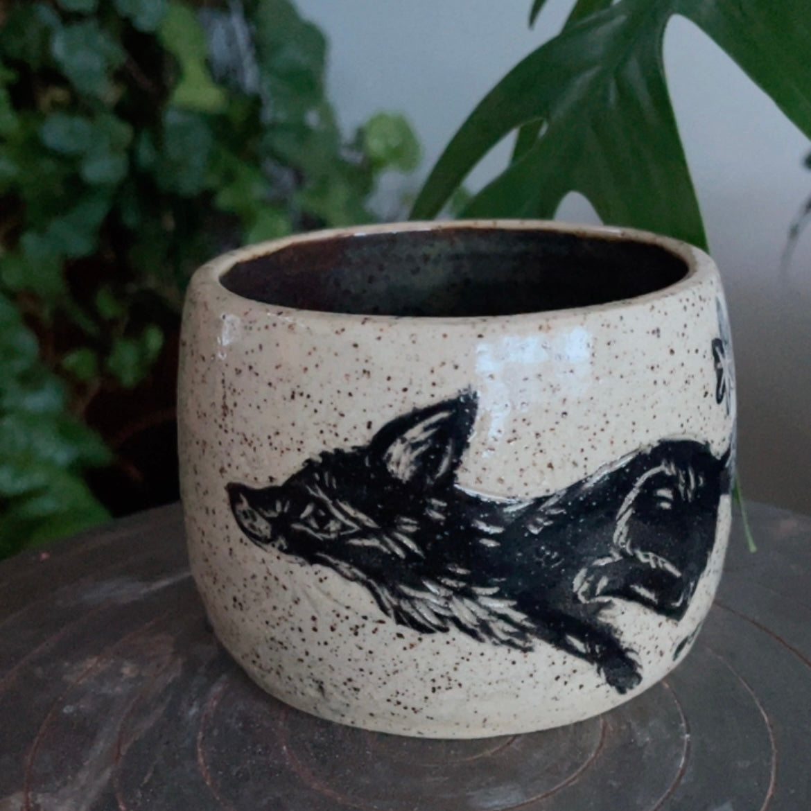 Fox running in the Birch trees