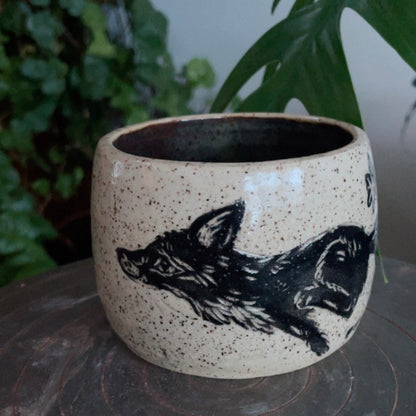 Fox running in the Birch trees