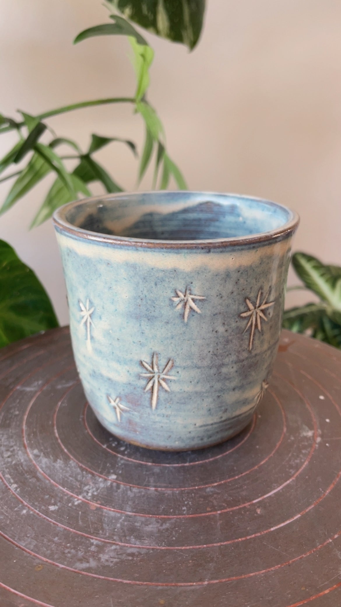 Magpie in the Sky Cup 12oz