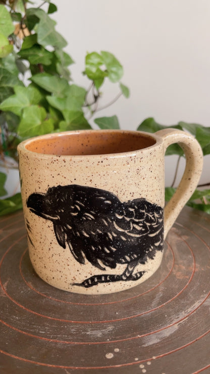 Magic Books & Ravens Mug