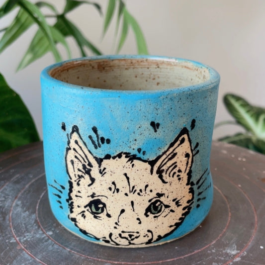 Kitty in the Willows Cup