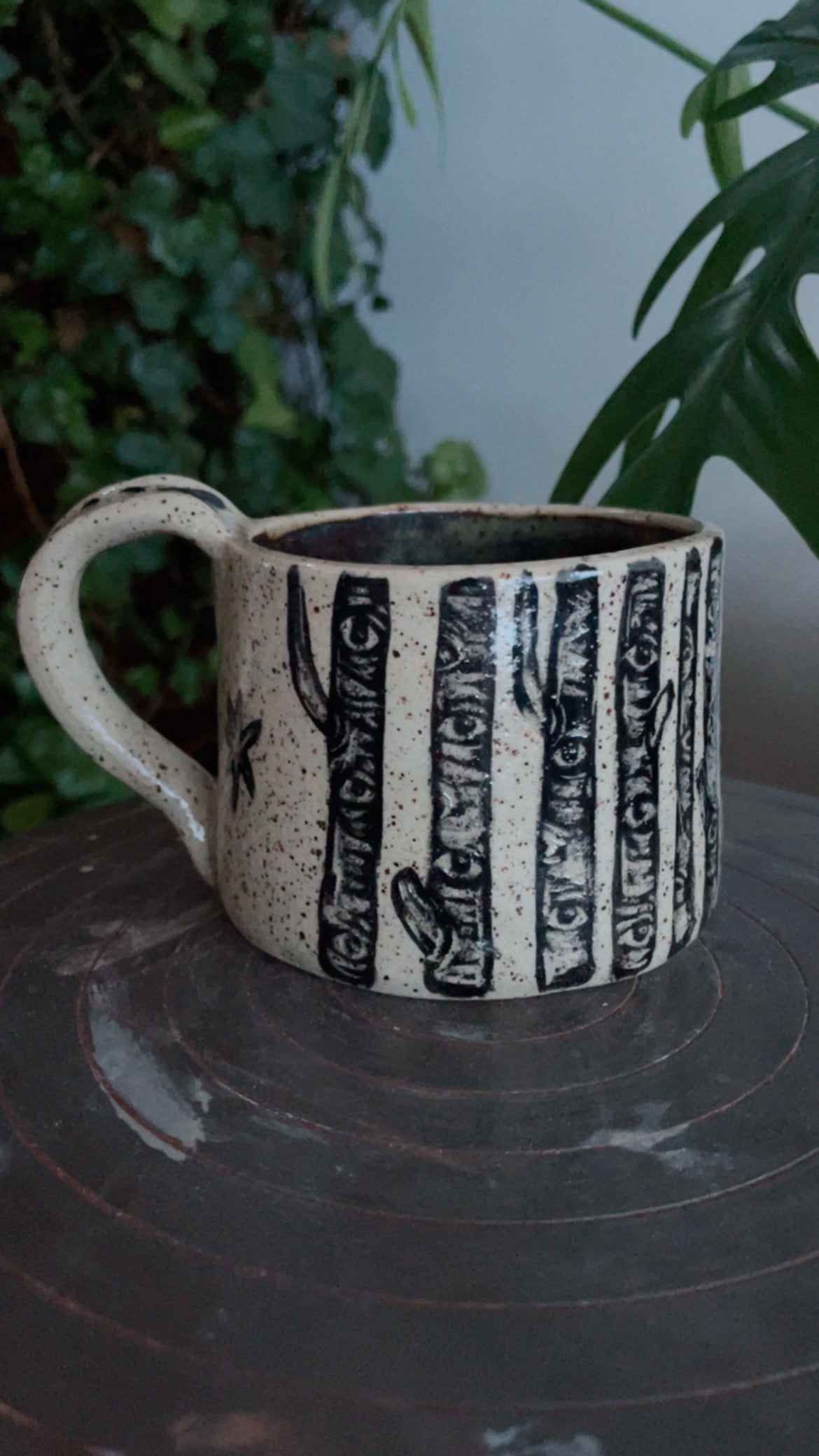 Fox in the Birch trees