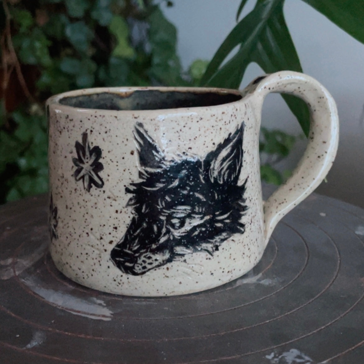 Fox in the Birch trees