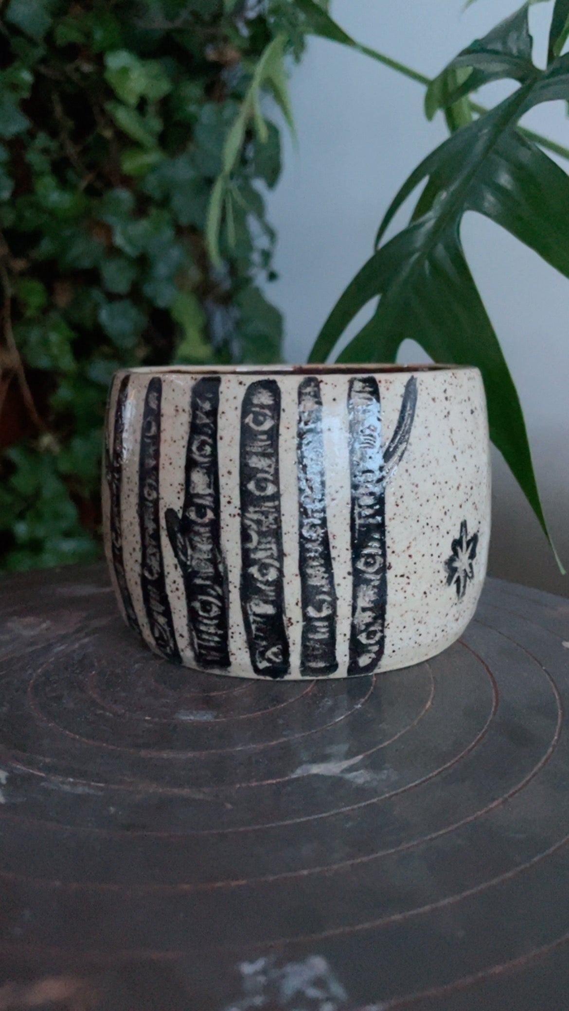 Fox running in the Birch trees