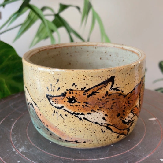 Fox on the Run in the Mountains Cup