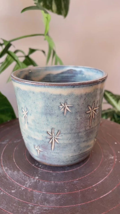 Magpie in the Sky Cup 12oz