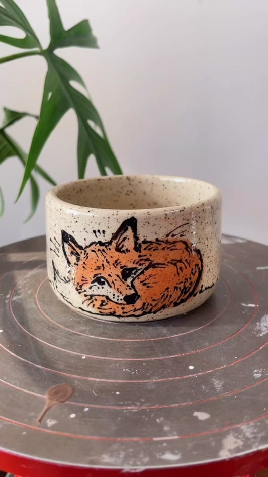 Fox Sleeping Pansy Cup 6oz